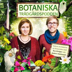 Tips på podcastar om trädgård och odling
