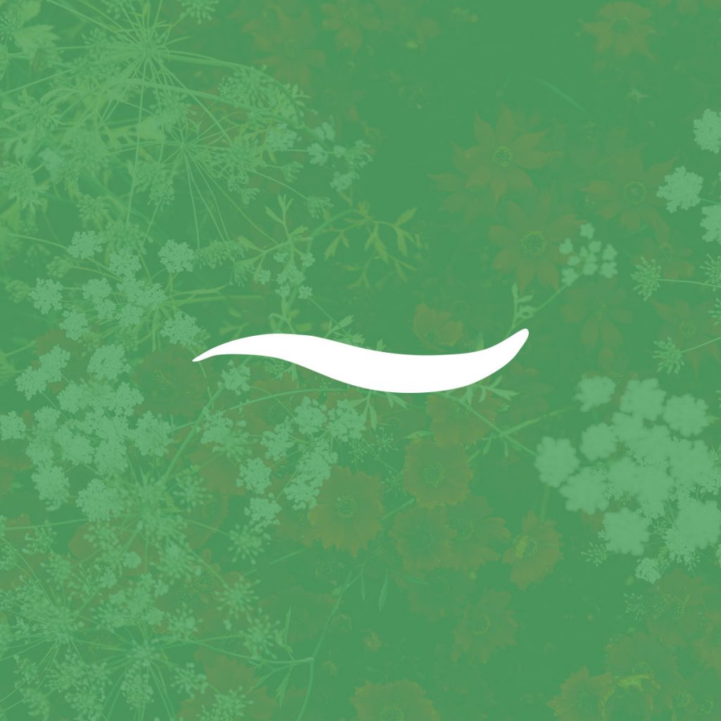 gardenize