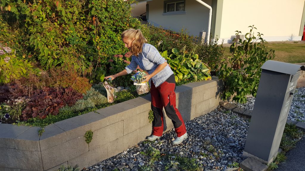Höstplantering