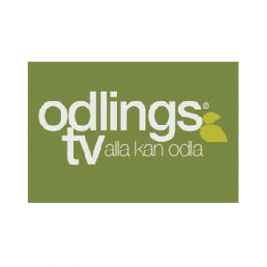 OdlingsTV