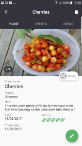 Gardenize Cherries