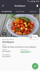 Gardenize Kirchbaum