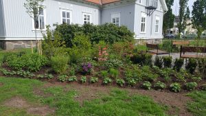 Följ Växtrum i Lerum i Gardenize