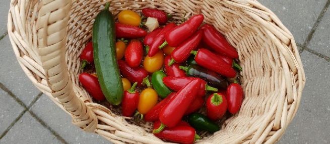Chilifavoriter