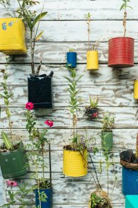 Trender Chelsea garden show 2019 Gardenize återanvänd