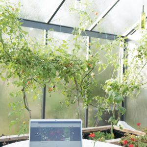Datorn i växthus