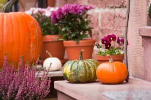 To Do Liste im Gartenmonat Oktober