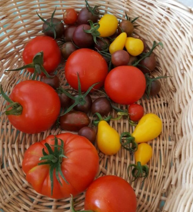 Het tomatsalsa