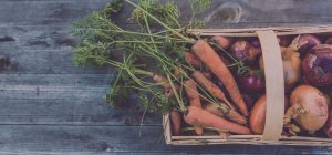 vegetariska recept för egenodlad mat gardenize