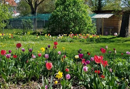 April – To Do Liste für deinen Garten
