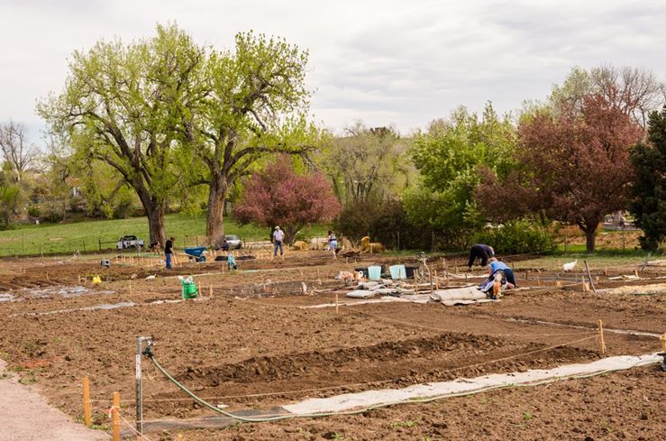 How to Organize a Community Garden_1