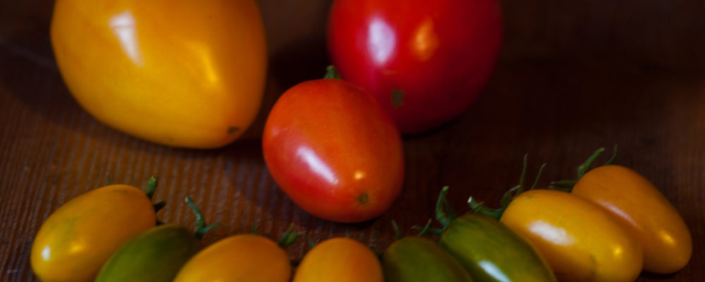 Hol das Beste aus deinen Tomatenpflanzen raus