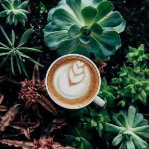 coffee-with-garden