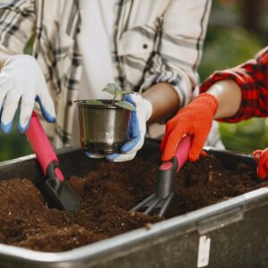 coffe ground in your garden