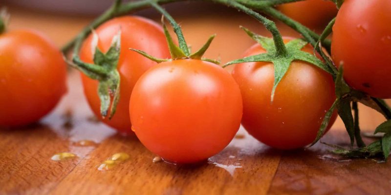 tomater unsplash 4
