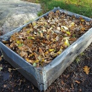 Leaves and composting