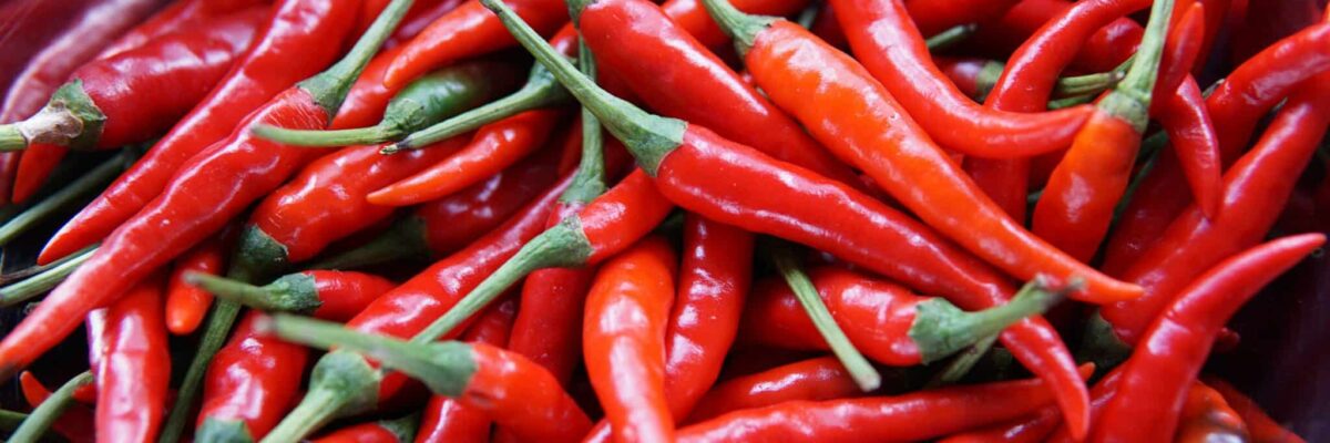 Chili peppar