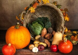 Pumpkins harvest and gardening tips - Gardenize - Caroline Bowman