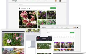 Starte the growing season with Gardenize garden app for mobile and desktop