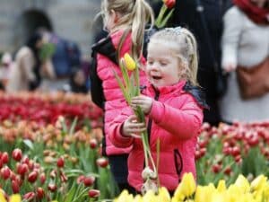 Child with tulips