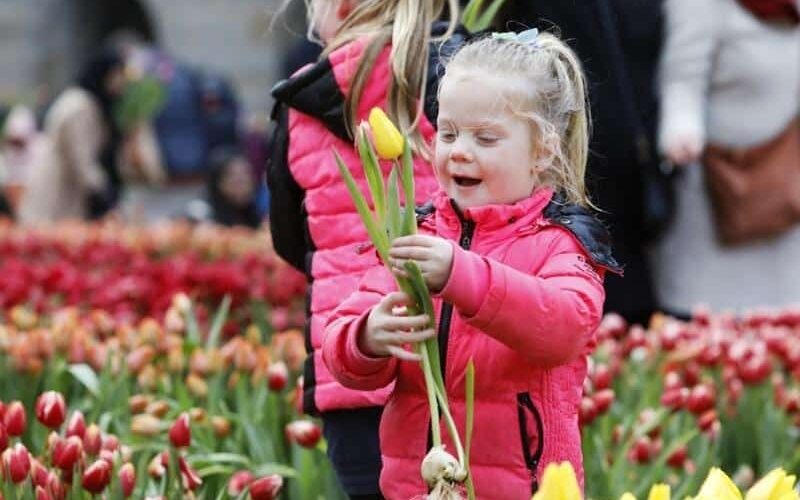 Child with tulips