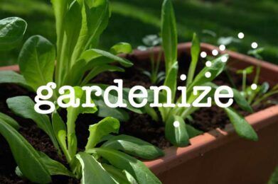 Gardenize garden app