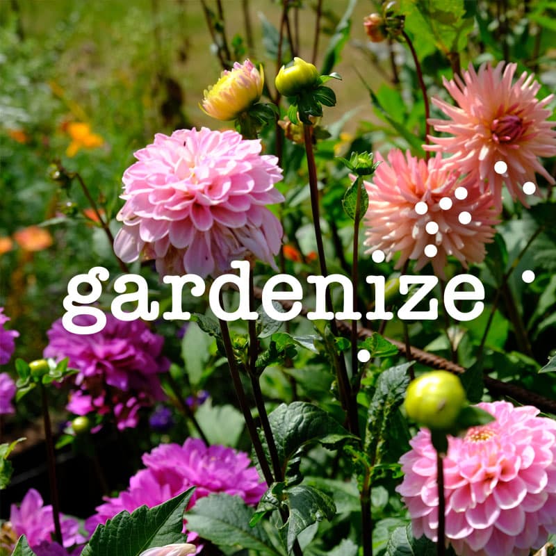 Gardenize garden journal