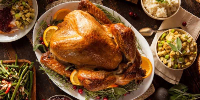 Turkey - growing your own Christmas dinner