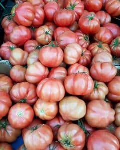 Monterosa tomatoes