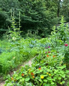 Trädgård och växter Gardenize