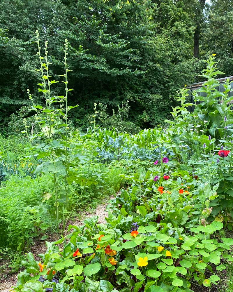 Trädgård och växter Gardenize