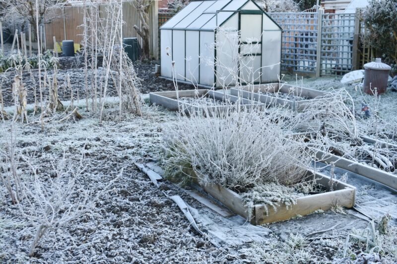 garden covered with ice winter