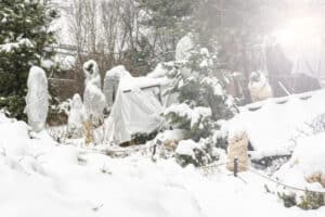 Winter protection for the garden,