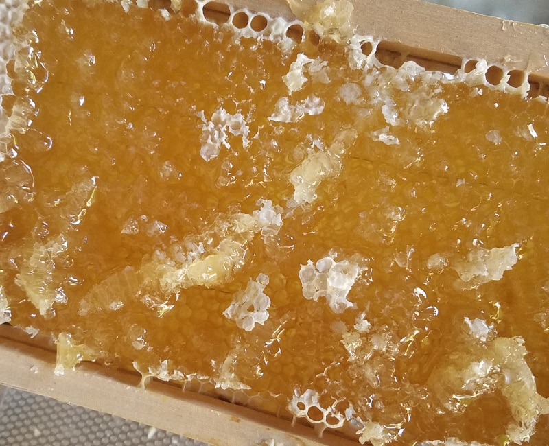 Honig frisch aus einer Wabe