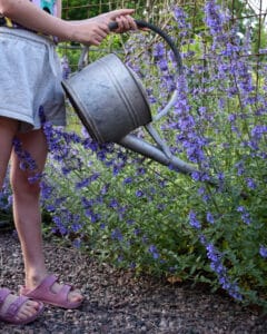 odla med barn - gardenize - vattenkanna