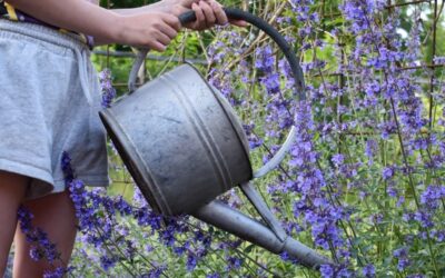 odla med barn - gardenize - vattenkanna