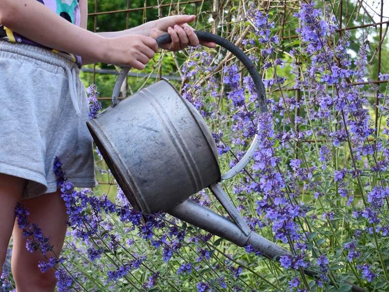 odla med barn - gardenize - vattenkanna