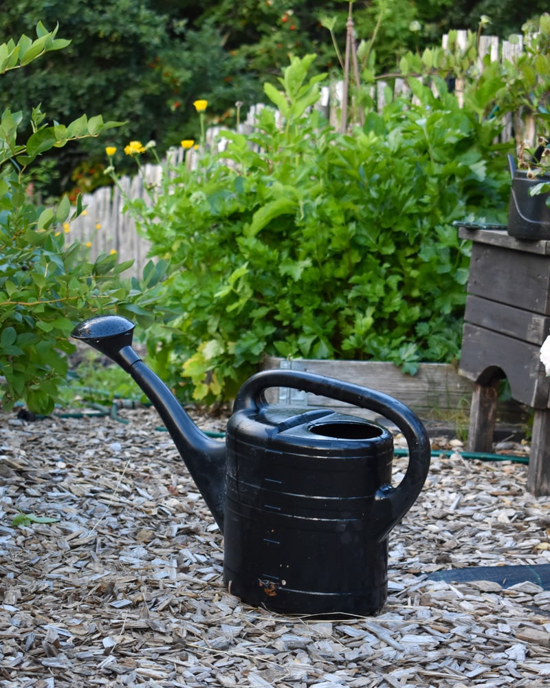 800x1000px-gardenize-vattenkanna vattenkanna på grusgång i trädgård