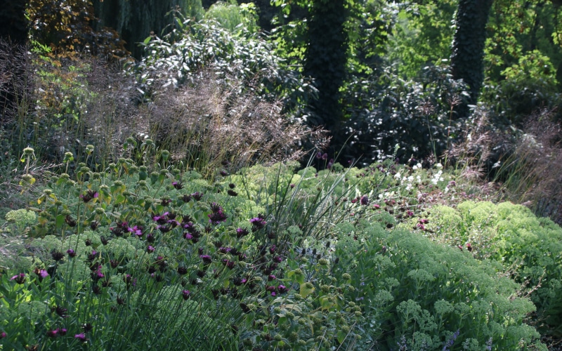 Einen Klimagarten anlegen