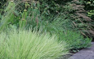 Einen Klimagarten anlegen