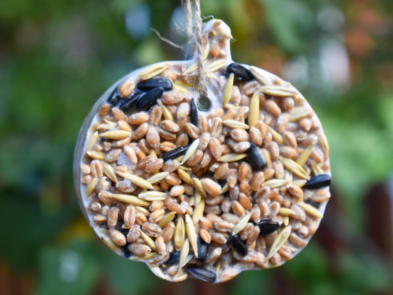 800x600px-gardenize-talgboll-fron-fagelmatare Gör din egen talgboll till fåglarna